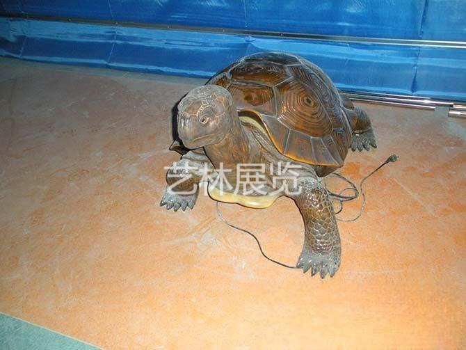 乌龟