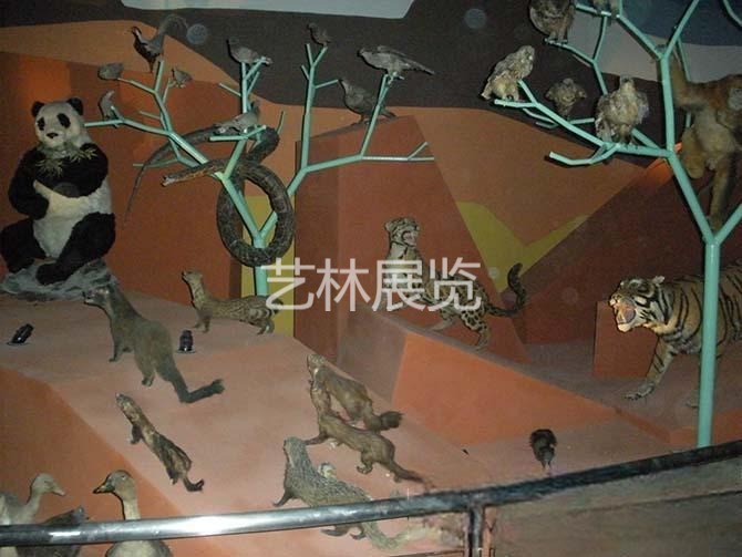 科技模型